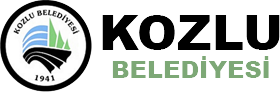 Partner Logo 2
